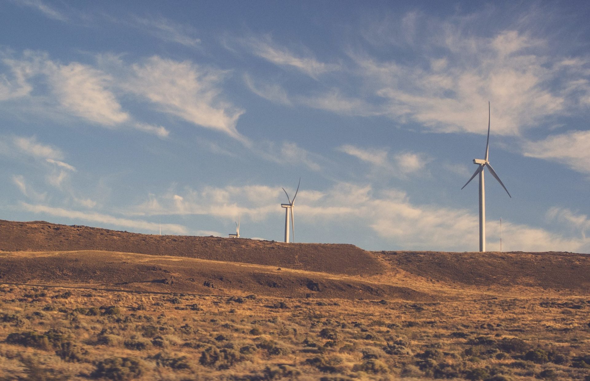 wind turbines in field with cloudy skies