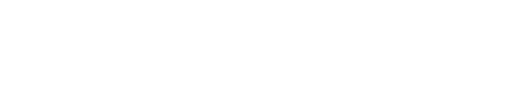 White NYK Line Logo