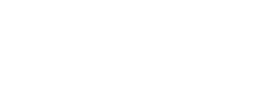 White Dorset Council Logo