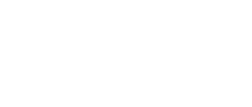 White Dorset Council Logo
