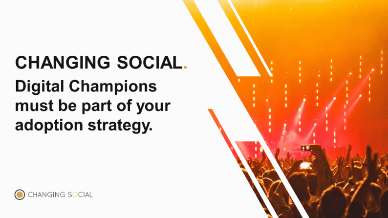 Digital Champions Adoption Strategy a crowd of people with raising hands attending a concert