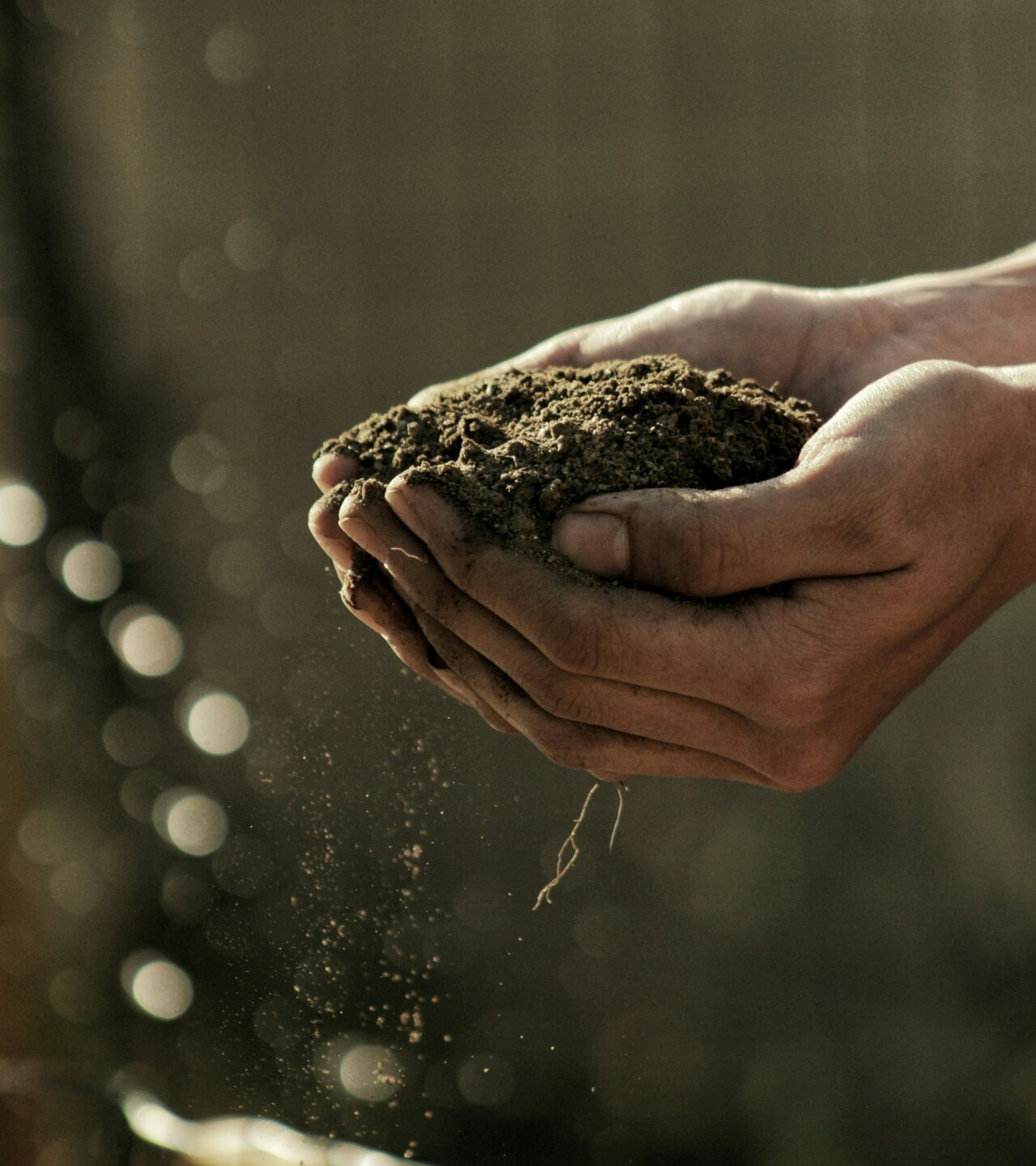 Person picking up soil with their hands