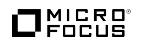 Micro Focus Logo