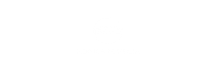 Konica Minolta Logo